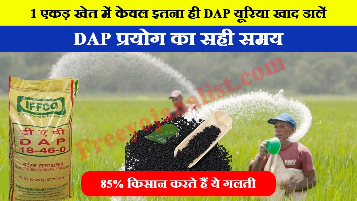 1 एकड़ में कितना DAP डालें